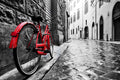 The Bold Crimson — La Bicicletta